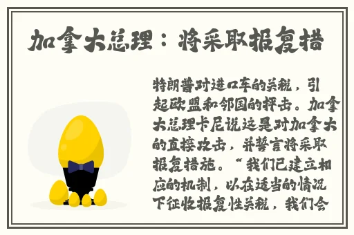 历史课代表蕾丝背心